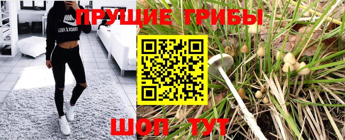 дарнет шоп  Галлюциногенные грибы Psilocybe  Вход с VPN  Ханты-Мансийск 